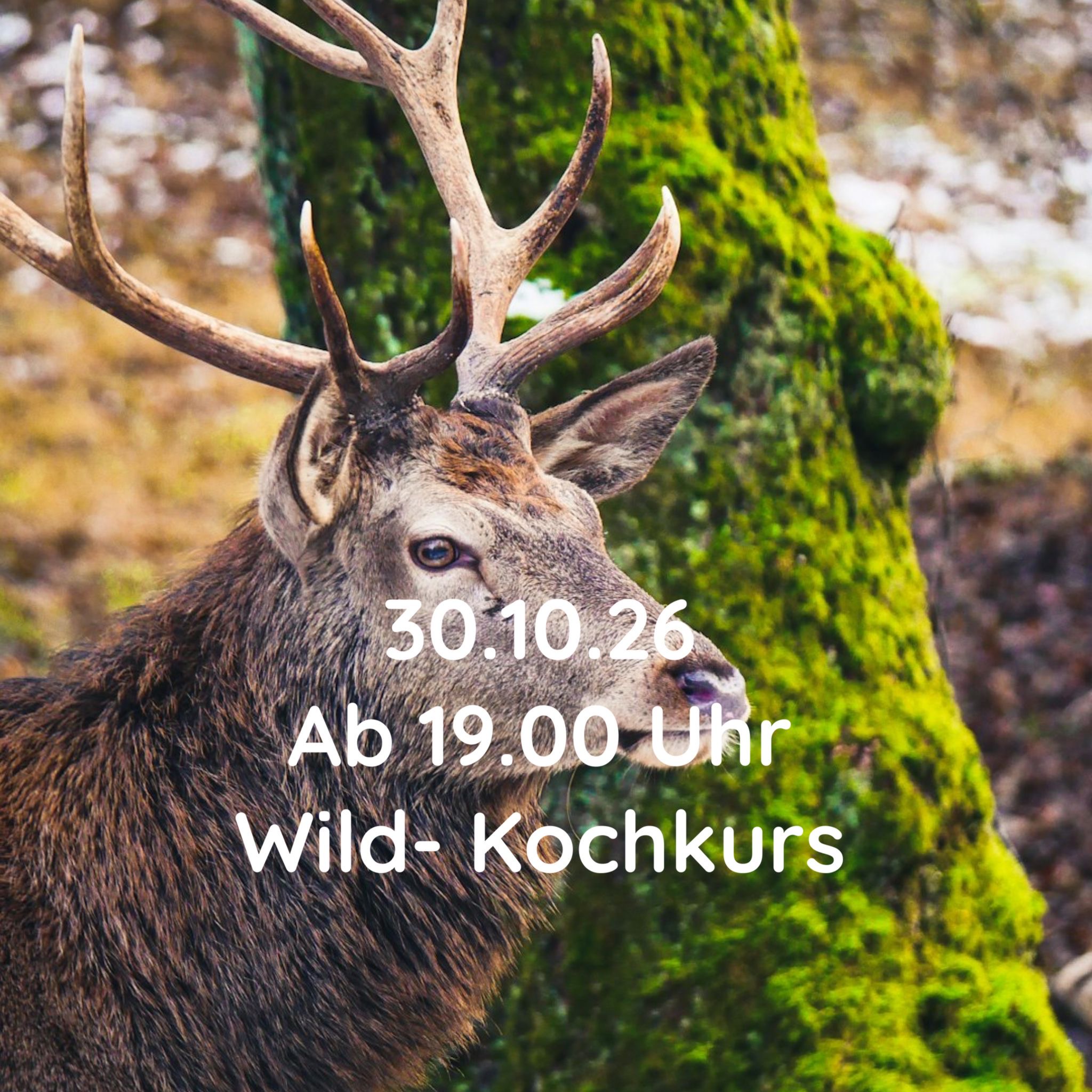 Wild-Kochkurs